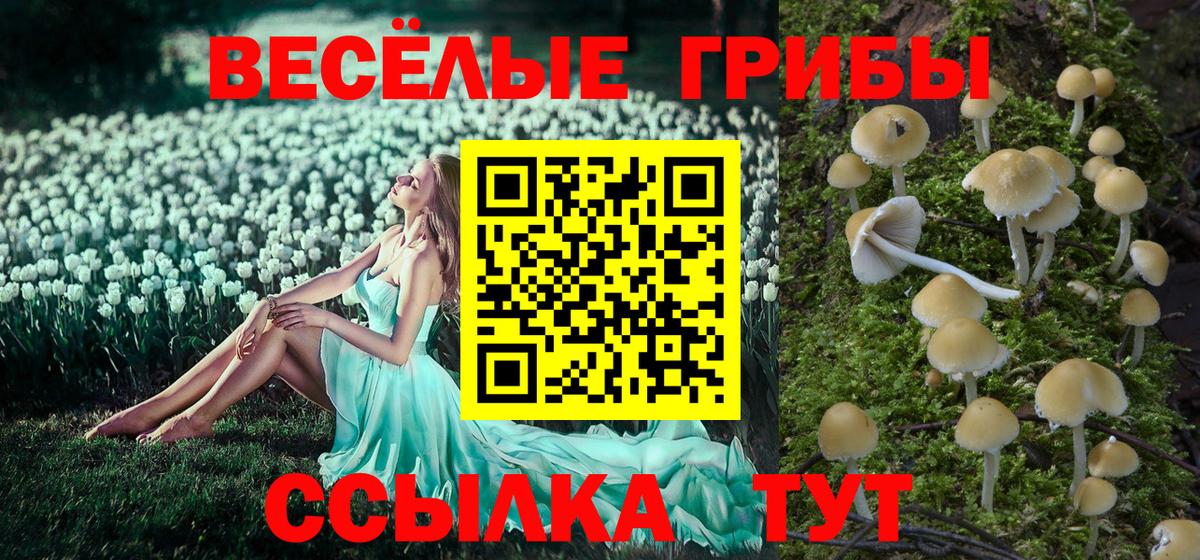 Псилоцибиновые грибы Psilocybine cubensis  Галлюциногенные грибы прущие грибы  Вход с VPN  Губкинский 